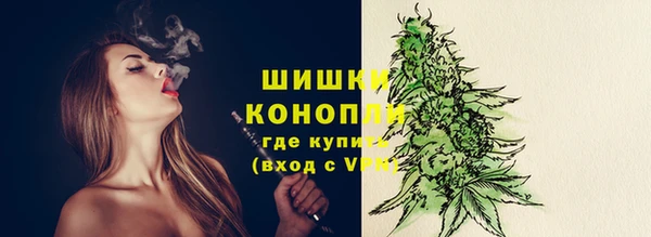 ешки Медногорск