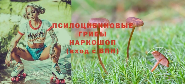 винт Магас