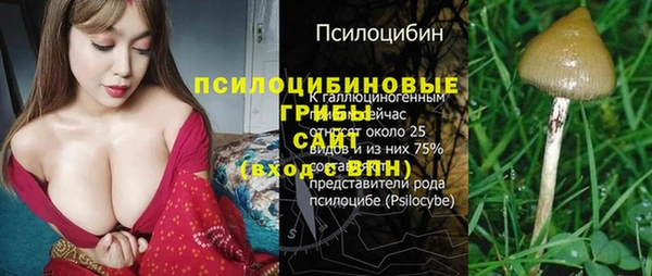 винт Магас