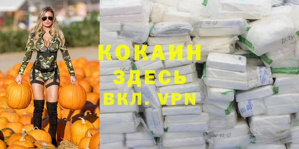 ешки Медногорск