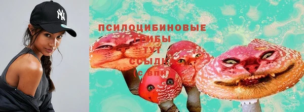 амф Майский